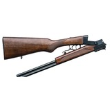 Chiappa Double Badger .22 Mag/.410, 19