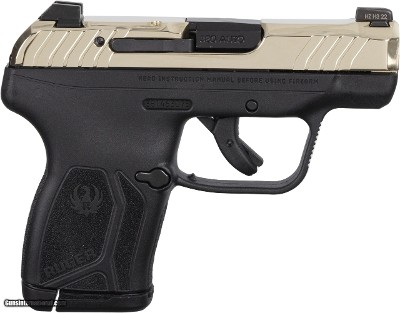 Ruger LCP 380 SA 2.8