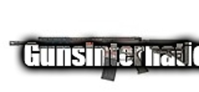 Black Rain Ordnance "Patriot American Flag" 5.56, 16