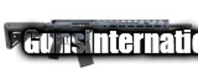 Watchtower Firearms LLC T15-556-16-GRY 223 WYLDE - Grey - Image 4 of 10