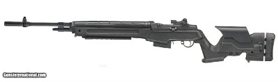 Springfield M1A Precision .308/7.62, 22