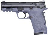 S&W M&P380 Shield EZ (Lipsey"s Exclusive) .380 ACP - 1 of 2