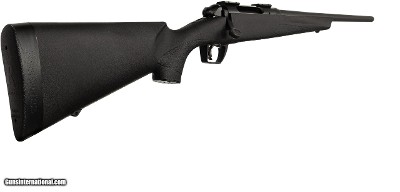 Remington 783 Synthetic 243 Win Bolt 22