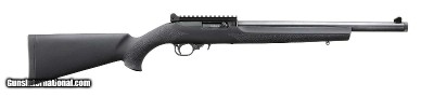 Ruger 10/22 Carbine 22 LR 16.12