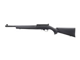 Ruger 10/22 Carbine 22 LR 16.12