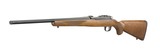 Ruger 77/17 Magazine 22 Hornet 20