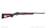 Ruger American Rimfire .17 HMR, 22