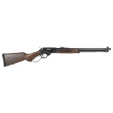 Henry H009 Provider .360 Buckhammer Lever Action 20