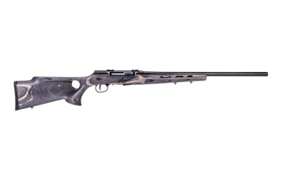 Savage Arms A17 Target Thumbhole 17 WSM Semi-Auto 22