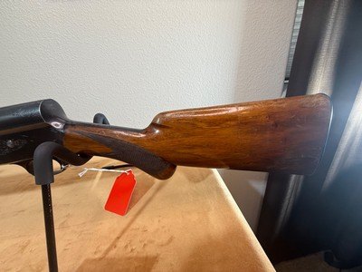 1955 FN Belgian Auto-5 Browning 16ga with a CYL choke barrel - Image 12 of 19