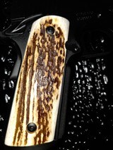 KIMBER TACTICAL CUSTOM II 45 ACP/22
KIMBER TARGET CONVERSION - 12 of 14