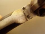 COLT U.S. CAVALRY MODEL 1873 SAA Revolver W/KOPEC LTR. AINSWORTH - 21 of 23