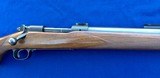 Winchester Model 70 Pre-64 Varmint .243 - 8 of 11