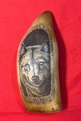 Antique Hand Scrimshawed Sperm Whale Tooth - Wolf's Head w/ Ornate Border - Exceptional Work! - 1 of 3