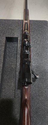 Pre 64 model 70 Featherweight - 7 of 9