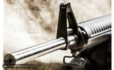 Bushmaster XM15-E2S W/Stainless Steel HBAR and Weighted Stock - 9 of 16