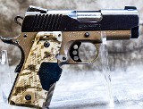 Kimber Ultra Covert II - 1 of 10