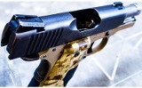 Kimber Ultra Covert II - 9 of 10