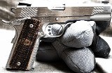 Kimber Stainless Raptor II .45 Auto - 1 of 14