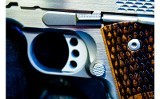 Kimber Stainless Raptor II .45 Auto - 10 of 14