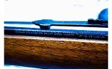 Winchester Model 43 Standard .218 Bee - 16 of 16