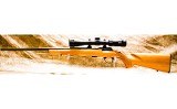 Browning T-Bolt Sporter Maple .22LR - 2 of 15