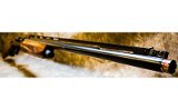 FABARM USA XLR5 VELOCITY - 12 GAUGE - Image 5 of 16