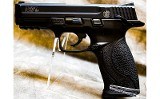 Smith & Wesson (mfg. by Carl Walther) ~ M&P22 Pistol ~ .22 Long Rifle - 2 of 4