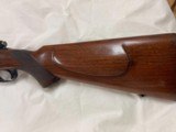Winchester pre-64 257 cal. supergrade transition model - 7 of 15