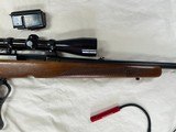 Winchester Model 88, 243 cal. - 12 of 14