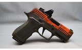 Sig Sauer ~ P320 ~ 9mm Luger