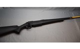Browning ~ A-Bolt ~ .30-06 Springfield