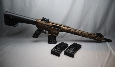 Typhoon Defense ~ F12 ~ 12 Gauge