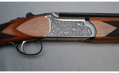 Kral ~ Setter ~ 20 Gauge