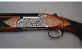 Kral ~ Setter ~ 20 Gauge - 8 of 12