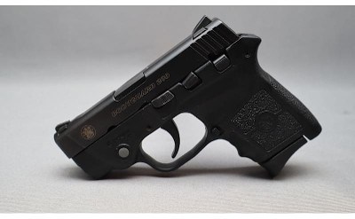 Smith and Wesson ~ Bodyguard ~ 380. ACP
