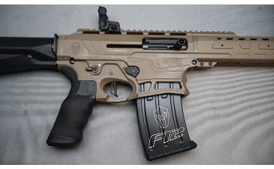 Typhoon Defense ~ F12 ~ 12 Gauge