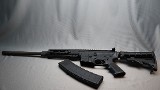 Windham Weaponry ~ WW-15 ~ .223/5.56 - 1 of 10