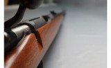 CZ ~ 452 ZKM Scout ~ .22 Long Rifle - 10 of 12