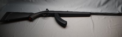 Ruger ~ American ~ .22 Long Rifle