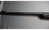 Ruger ~ American ~ .22 Long Rifle - 9 of 10