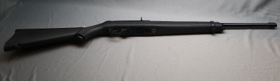 Ruger
10/22
.22 Long Rifle