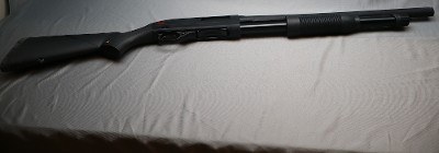 Winchester ~ SXP ~ 12 Gauge