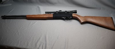 Winchester ~ Model 190 ~ .22 Long Rifle