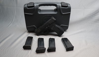Sig Sauer ~ P365 ~ 9mm Luger