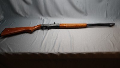 Winchester ~ 190 ~ .22 LR