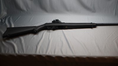 Ruger ~ 10/22 ~ .22 Long Rifle
