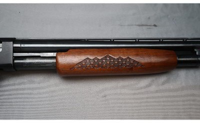 Montgomery Ward Western Field ~ M550ABR ~ 12 Gauge - Image 5 of 10