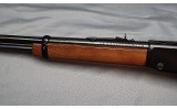 Henry Repeating Arms ~ H001 ~ .22 S, L, LR - 10 of 11