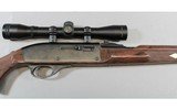 Remington ~ Nylon 66 ~ .22 Long Rifle - 6 of 11
